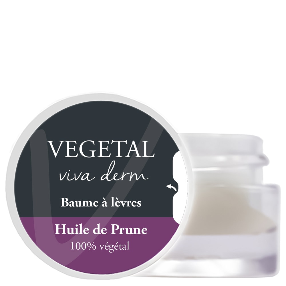 vegetal viva derm Baume à lèvres huile de PRUNE BIO Soin baume à lèvres cire de riz
