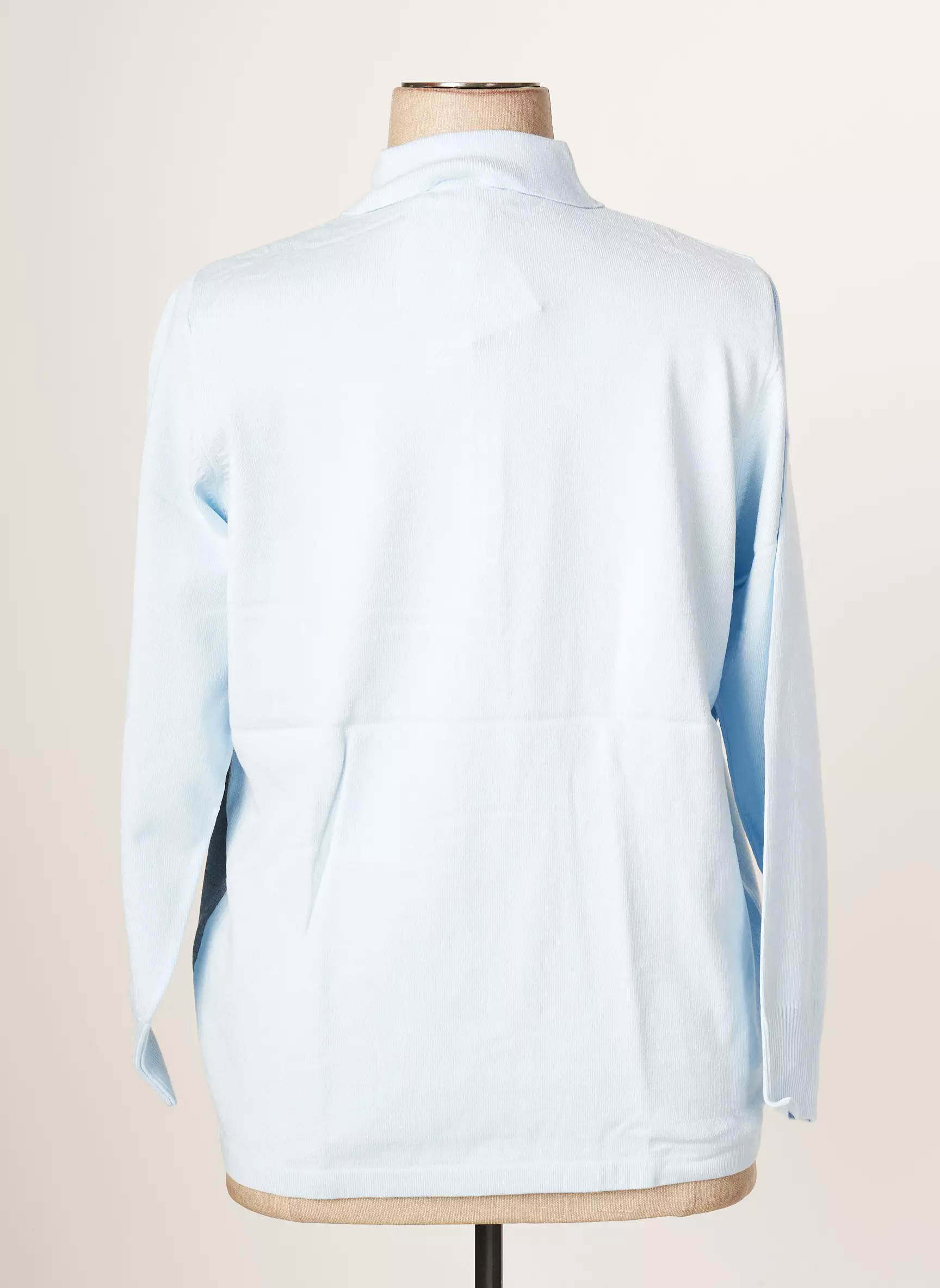 Rabe Pulls Femme couleur bleu