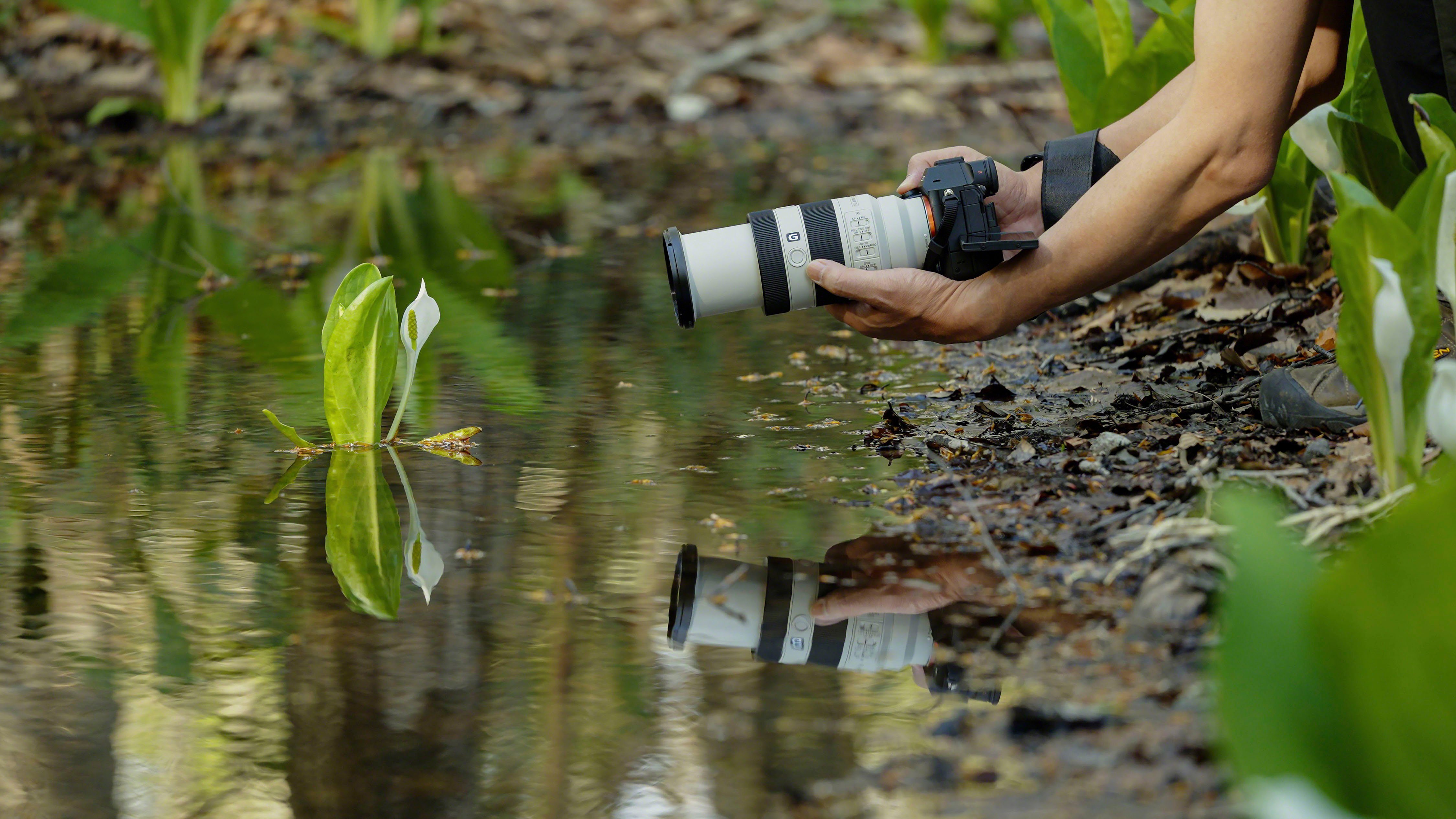 Sony FE 70–200 mm F4 Makro G OSS Ⅱ Objektiv