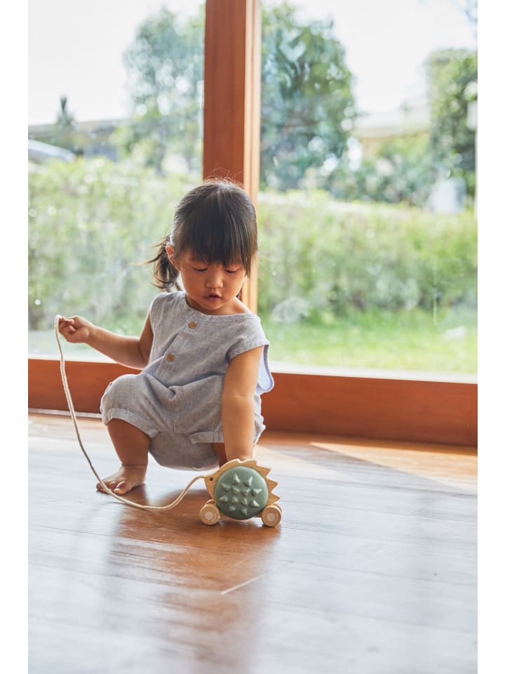 Plan Toys Nachzieh-Igel, blau ab 12 Monate günstig kaufen onesize