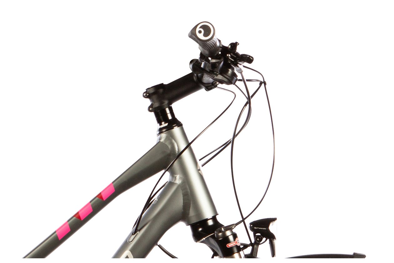 Carver Cinos Street 140 - 2024 - 28 Zoll - Damen Sport