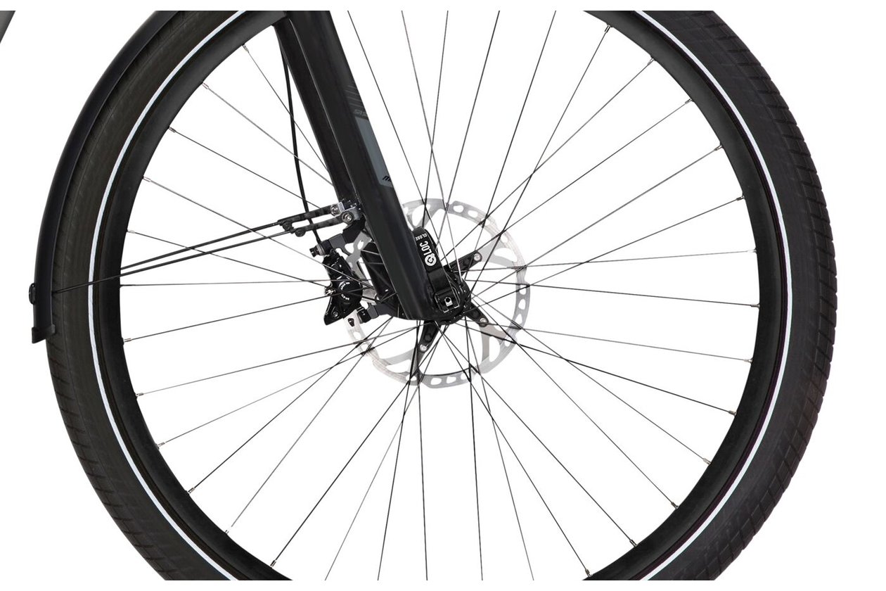 Flyer Gotour6 7.43R - 625 Wh - 2022 - 28 Zoll - Diamant