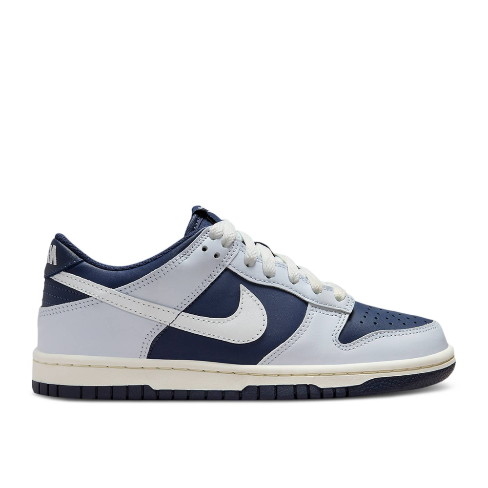 Nike Dunk Low GS FB9109-002 / blau
