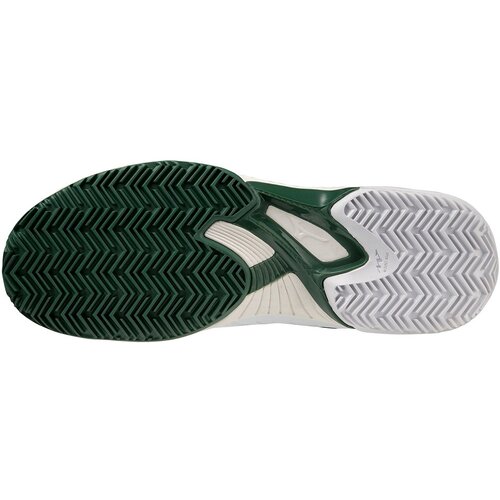 HERREN TENNISOUTDOORSCHUHE WAVE EXCEED TOUR 5CC(U)