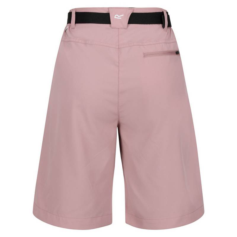 Regatta Xert It Shorts Damen