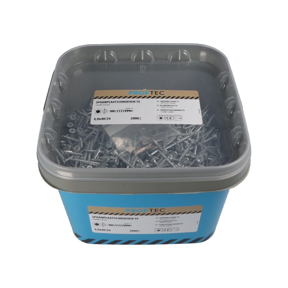 Proftec 5289.01.25901 Medsraigtis VZ PK + Pjovimo antgalis TX-20 (+ Antgalis) 4,0 x 50/30 mm - 1500 vnt.