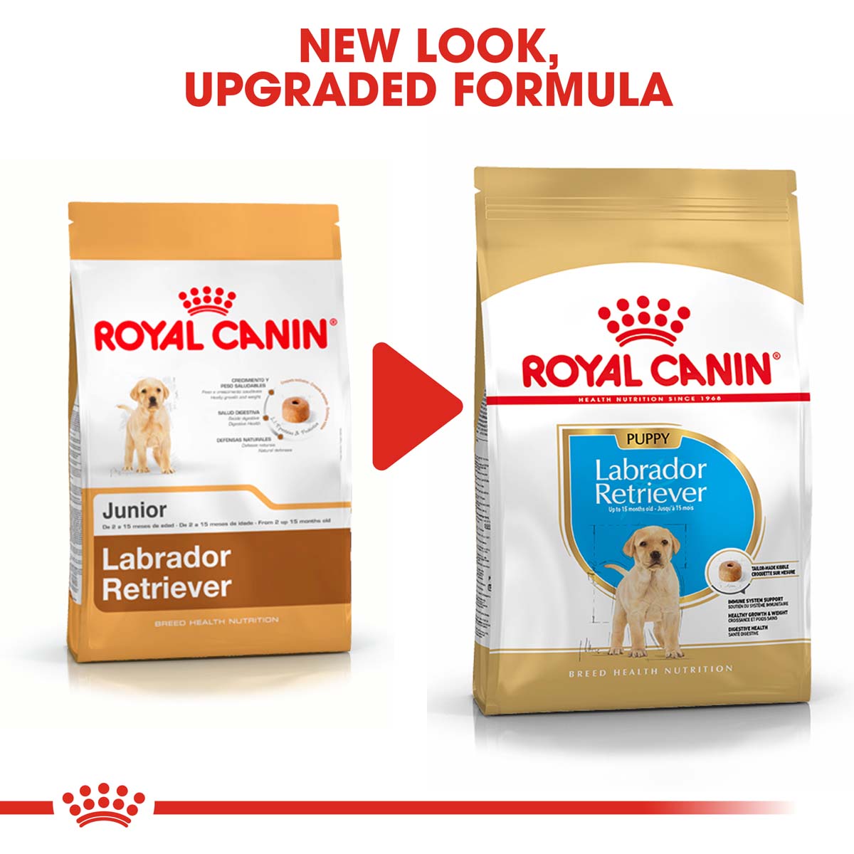 ROYAL CANIN Labrador Retriever Puppy Welpenfutter trocken