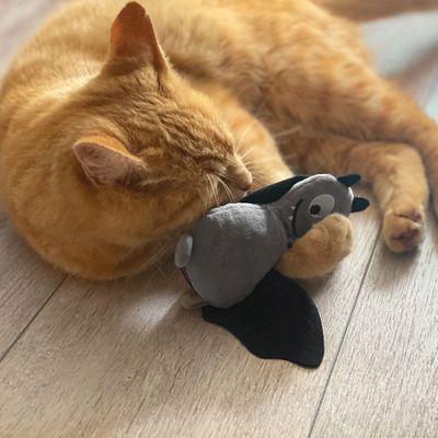 Aumüller Fledermaus Frido Baldrian-Katzenspielkissen