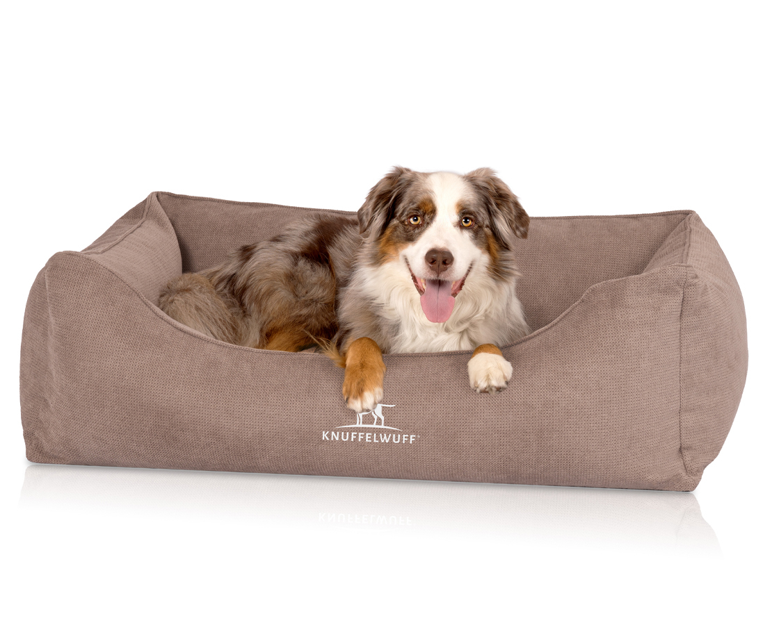 Knuffelwuff Hundebetten Knuffelwuff orthopädisches Hundebett mit Fächer-Wendekissen Baltimore beige XXL