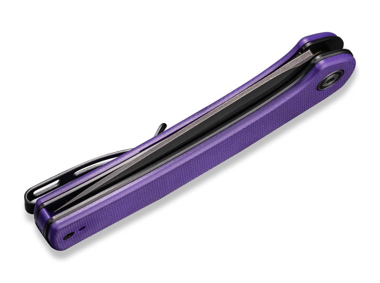 Mini Asticus Purple G10