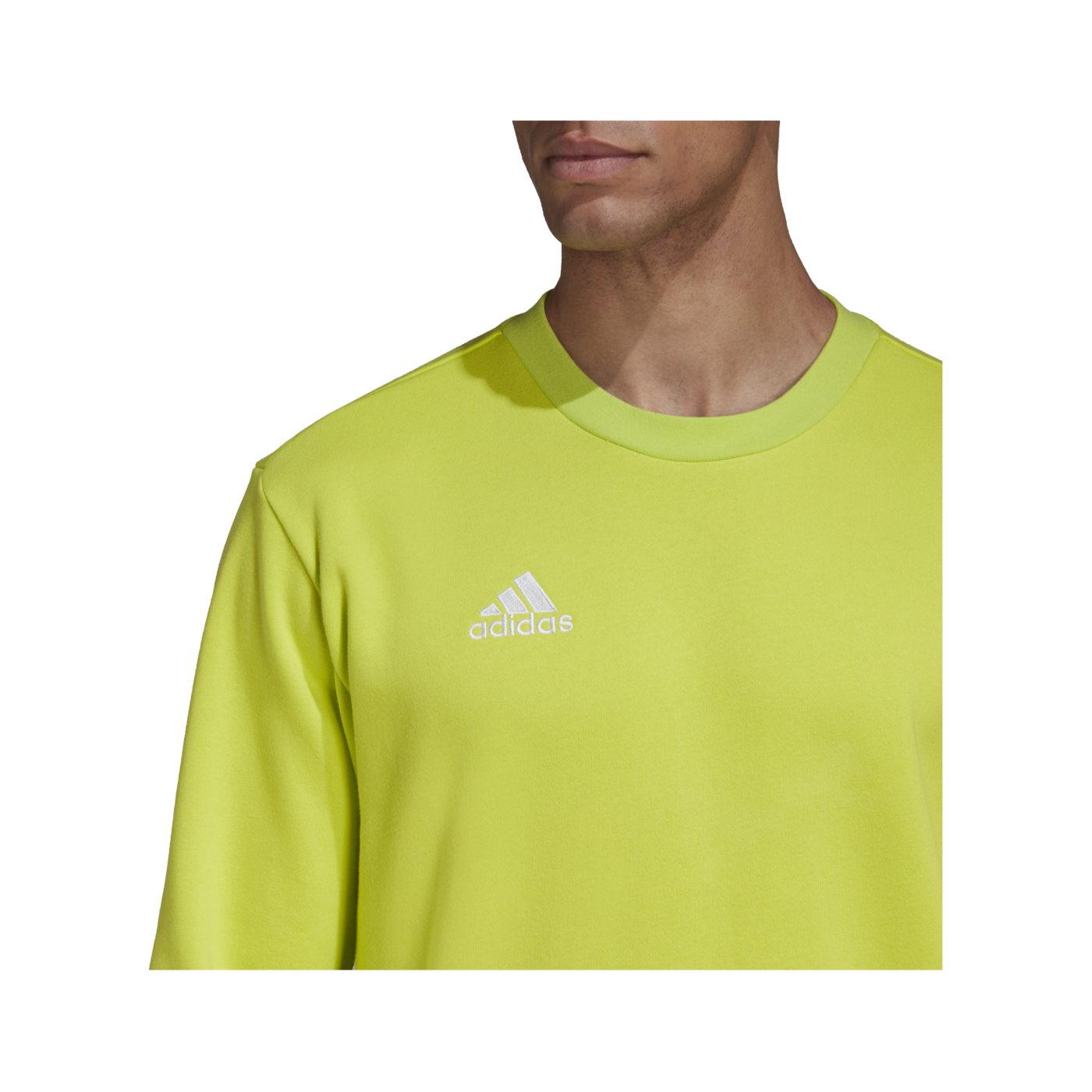 adidas Entrada 22 Sweatshirt Grün