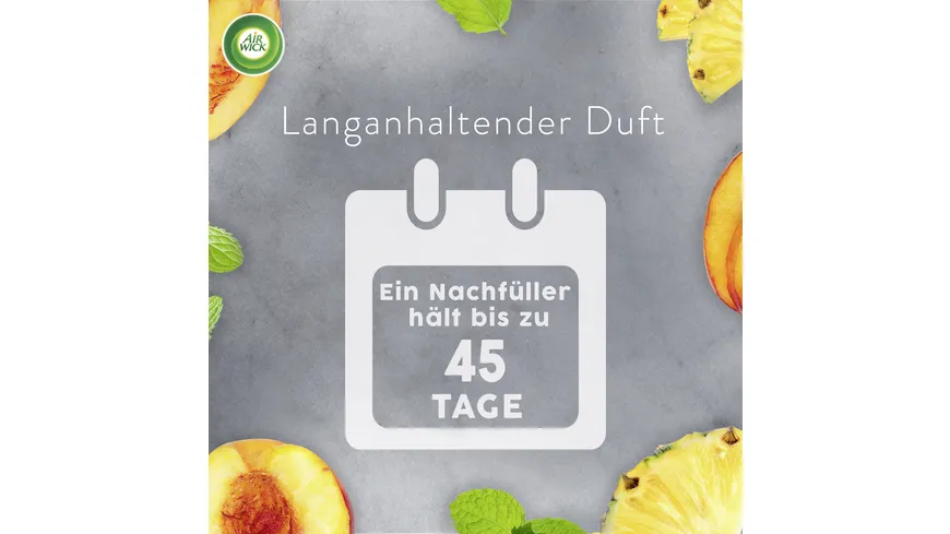 Air Wick Aroma-Öl Flakon Lebensfreude 20ml