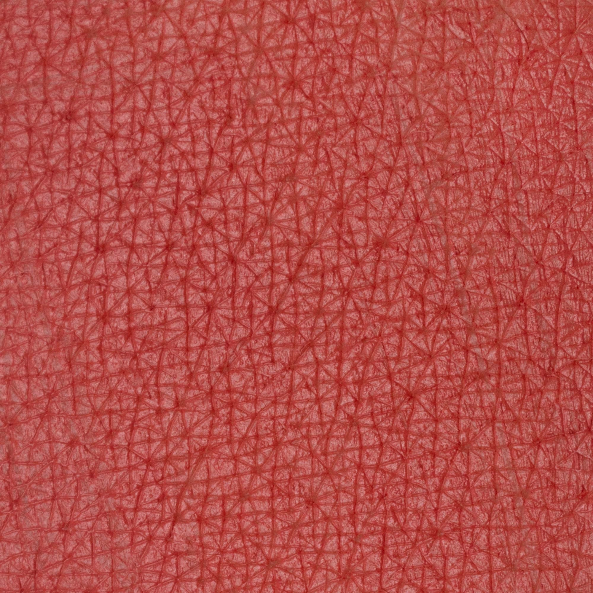 Lápiz labial pastel