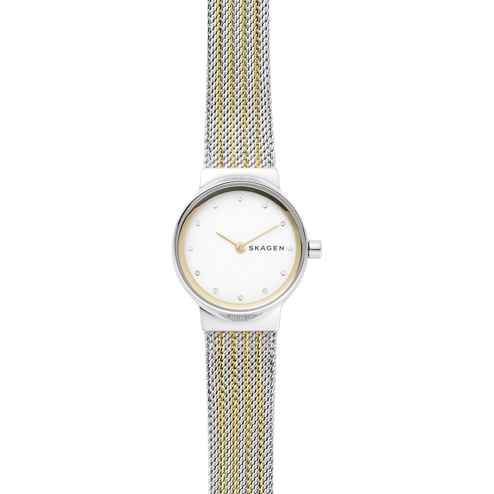 Skagen Montre pour femme Acier inoxydable Montre