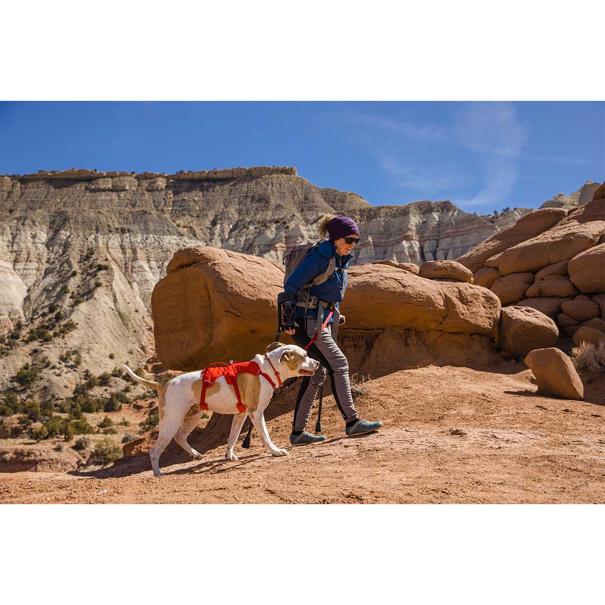 Ruffwear Geschirr Web Master Red Sumac kaufen bei ZooRoyal