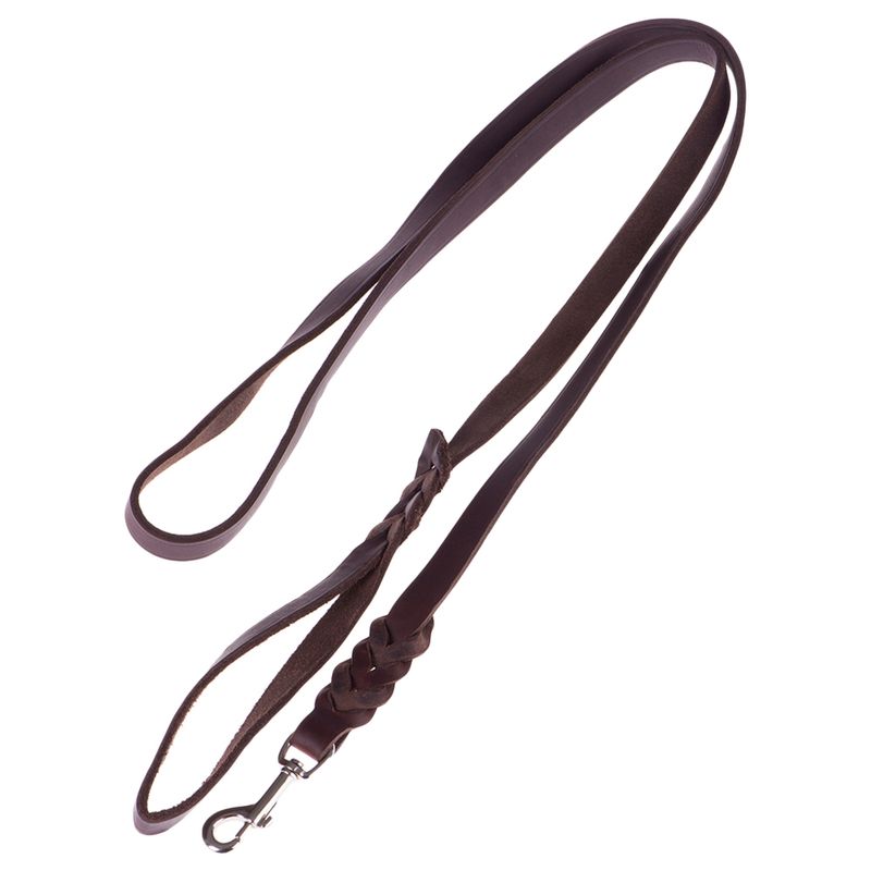 Heim Lederleine mit eingeflochtenem Karabiner - braun zu TOP-Preisen