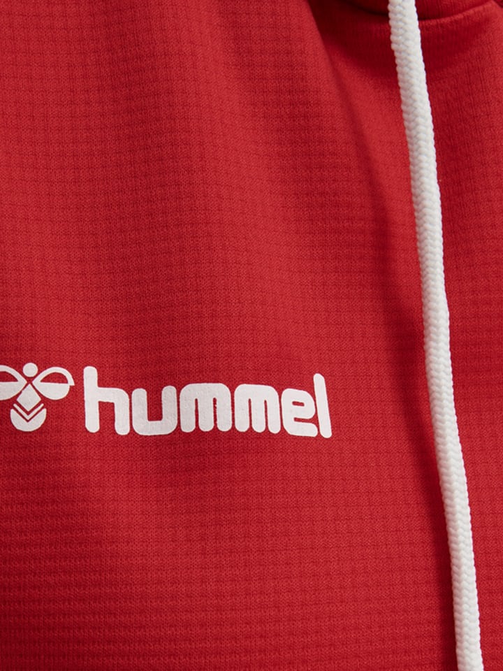 Hummel Hummel Kapuzenpullover Hmlauthentic Damen in TRUE RED günstig kaufen M