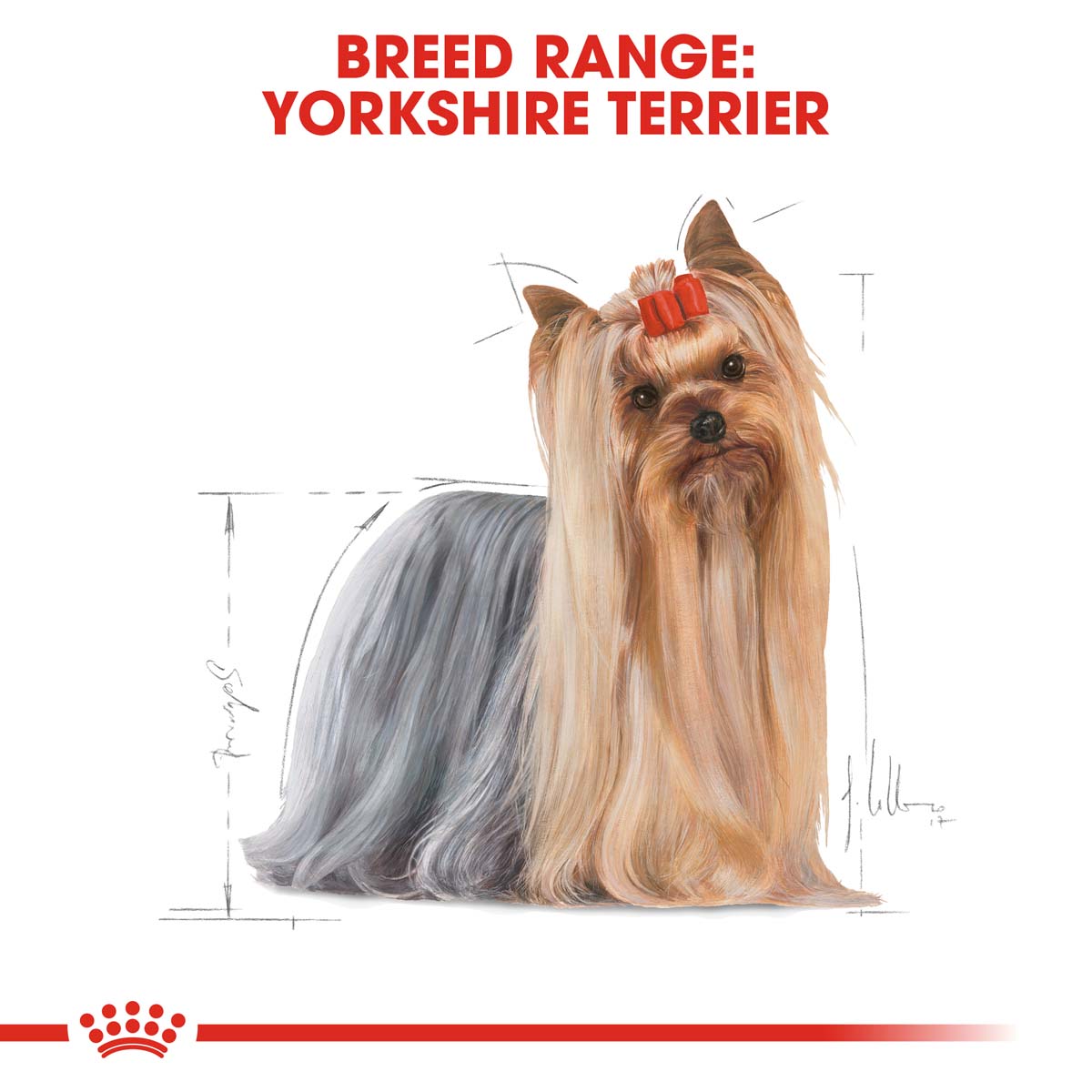 ROYAL CANIN BHN Yorkshire Terrier Adult kaufen bei ZooRoyal