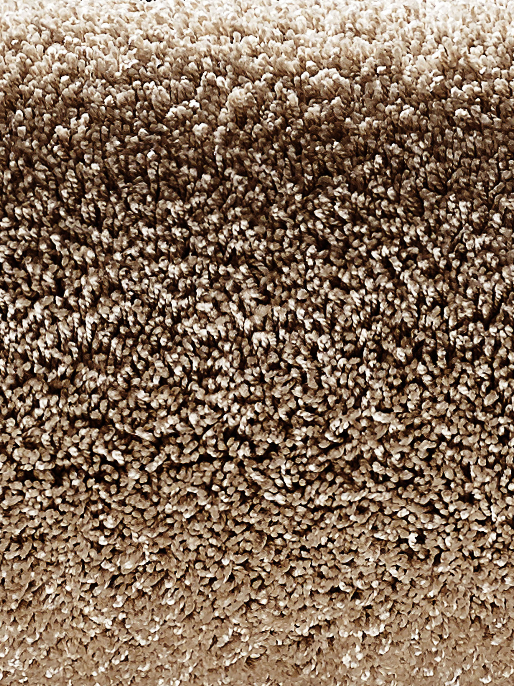 Lounge Hochflor-Teppich, Beige