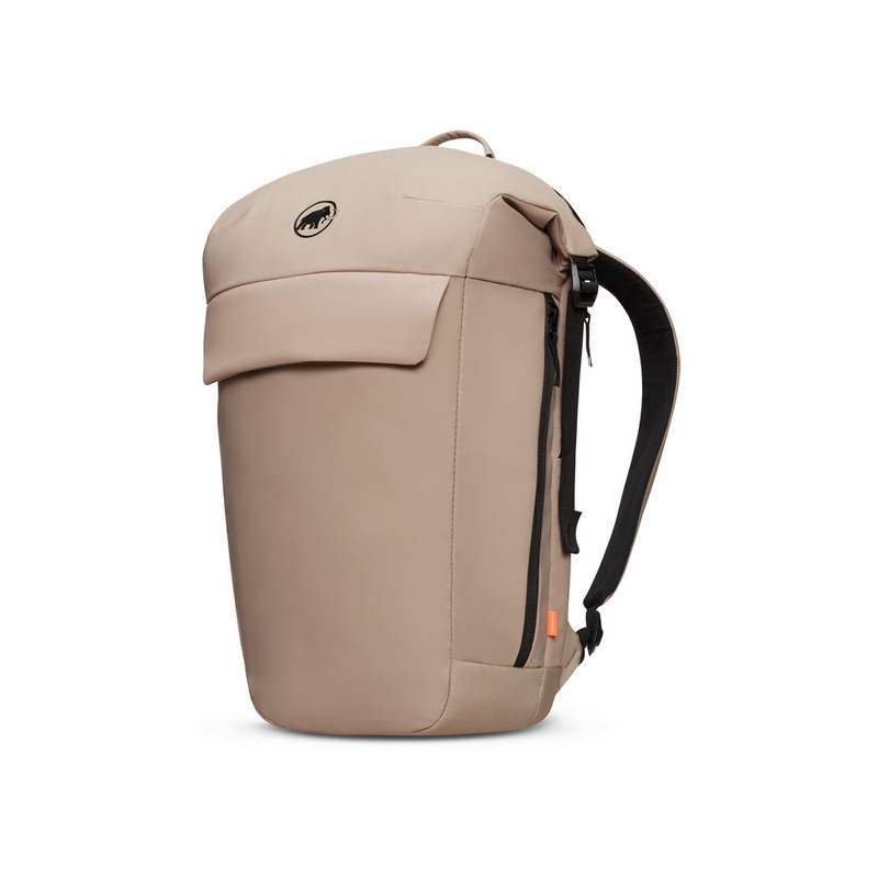 Mammut Seon Courier 20 Wanderrucksack