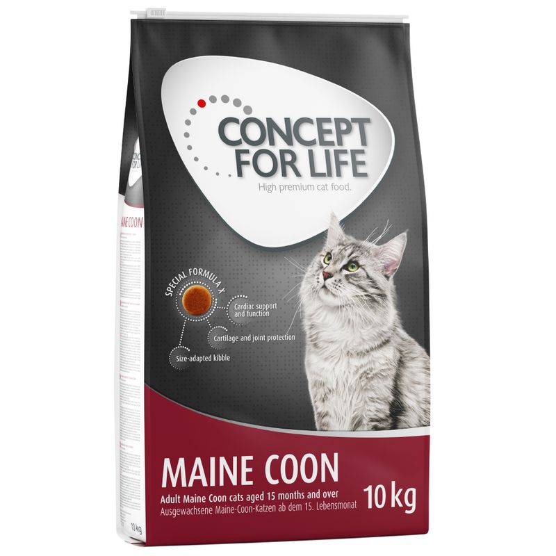 Sparpaket Concept for Life zu TOP-Preisen