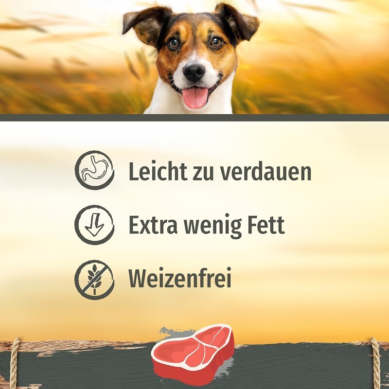 SmartBones Snacks SmartBones Beef Mini 8 Stück