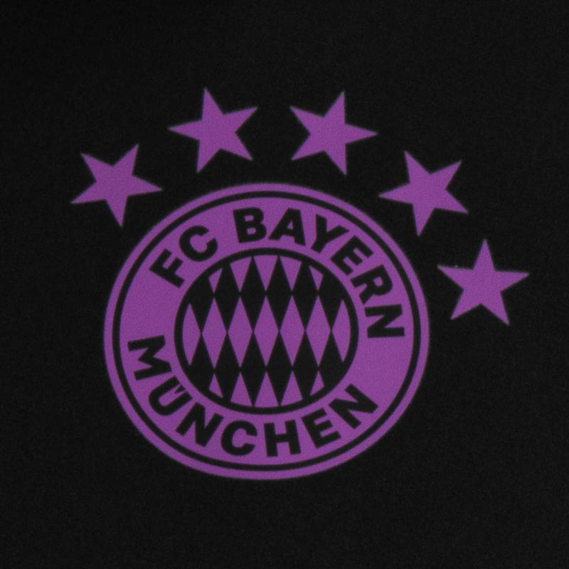 adidas FC Bayern München Tiro 23 Funktionsshirt Herren