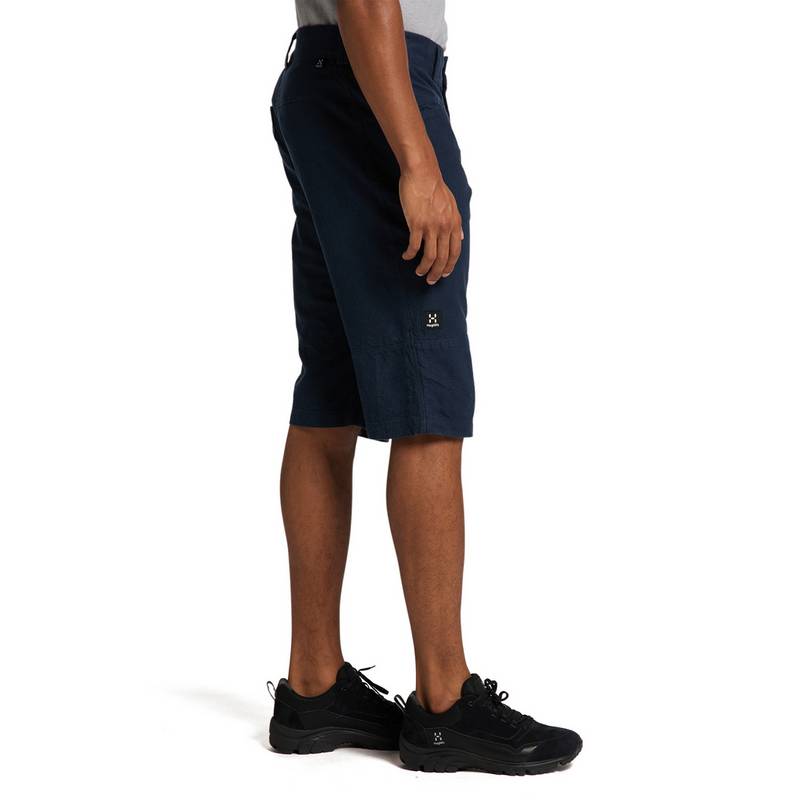 Haglfs Dal Shorts Funktionsshorts Herren