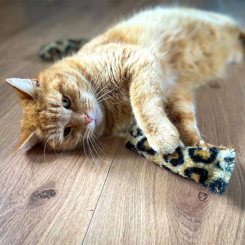 Aumüller Welli-Sticks Tiger zu TOP-Preisen