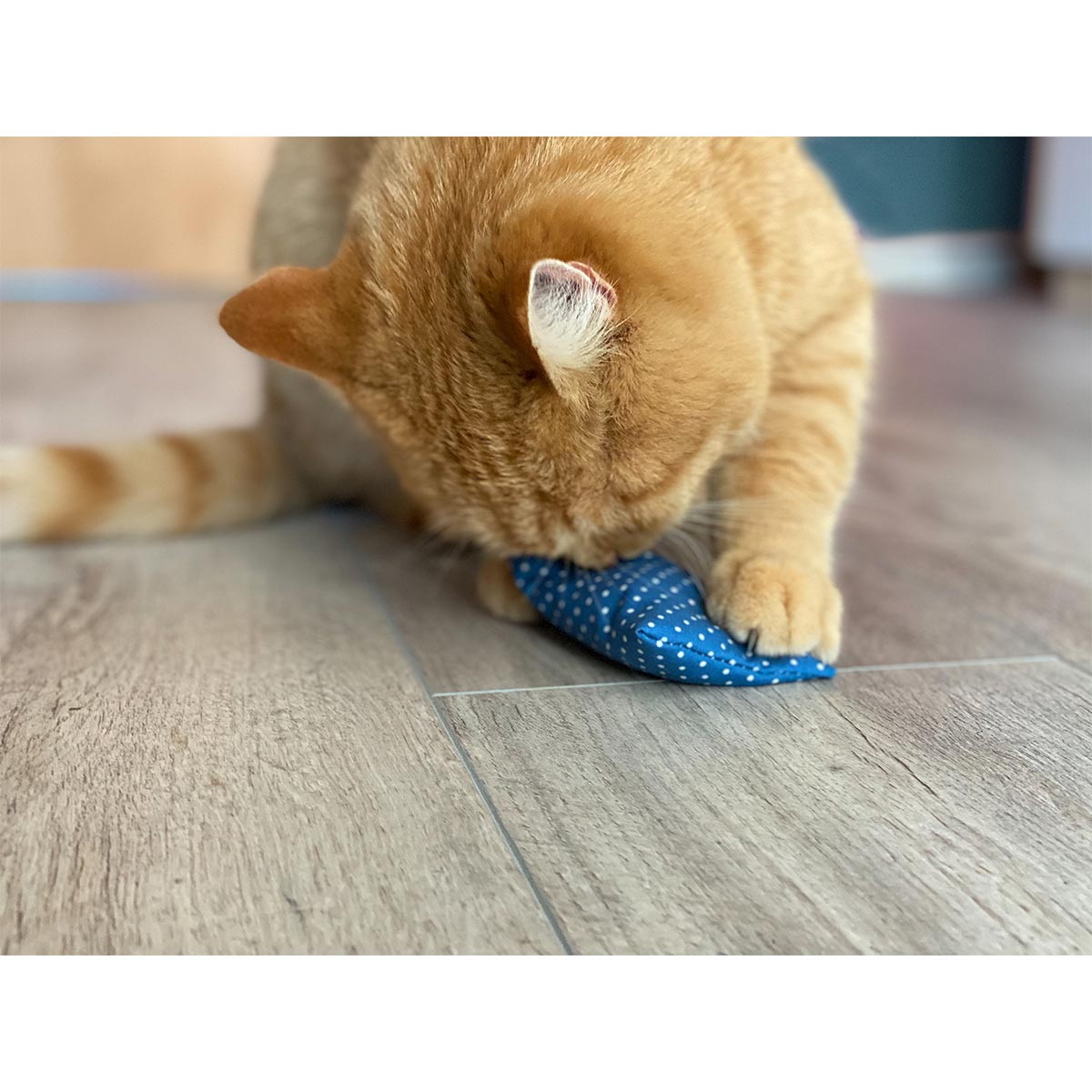 Aumüller Katzenspielkissen Minzini günstig kaufen