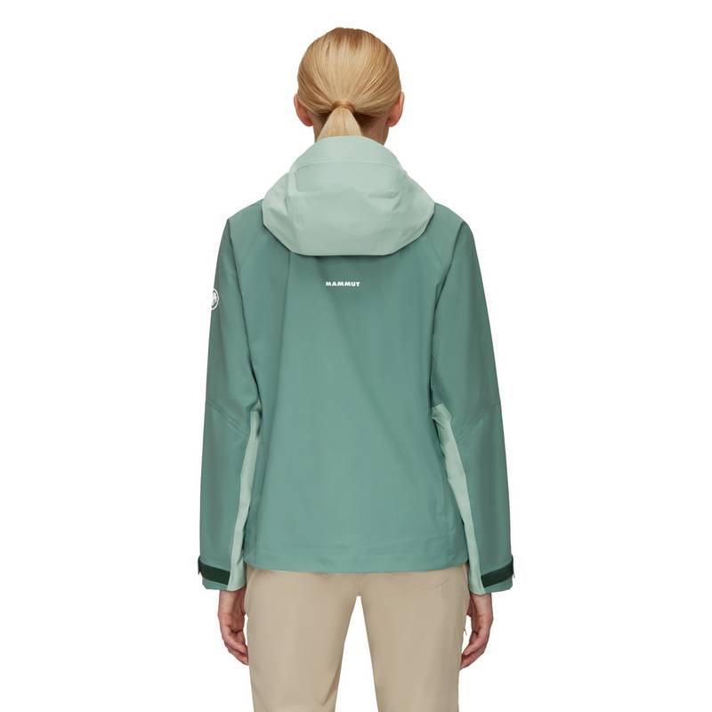 Mammut Taiss Hooded Hardshelljacke Damen