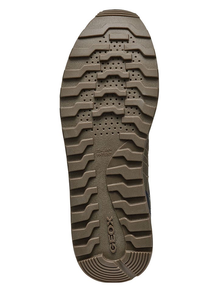 Geox Sneakers in Taupe/ Dunkelblau günstig kaufen