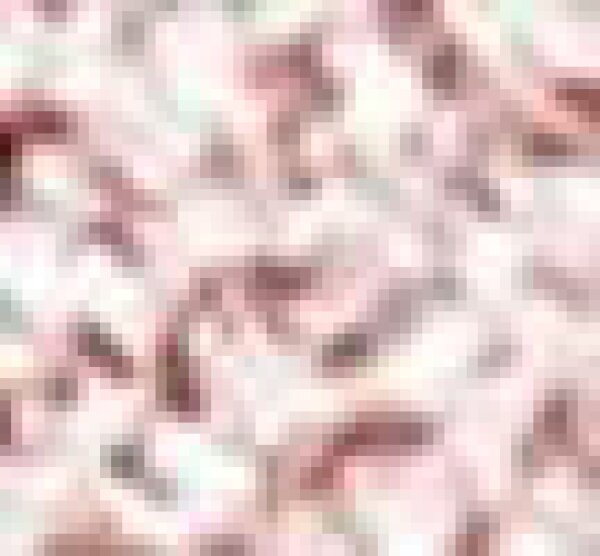Stagecolor Cosmetics Lidschatten