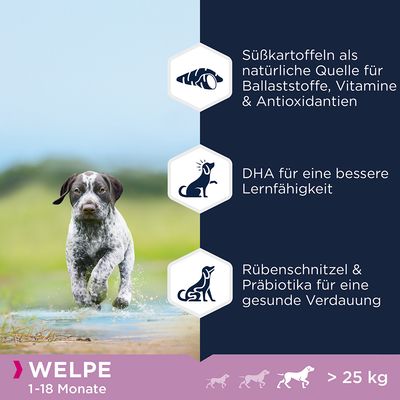 Eukanuba Grain Free Puppy Large Breed mit Lachs