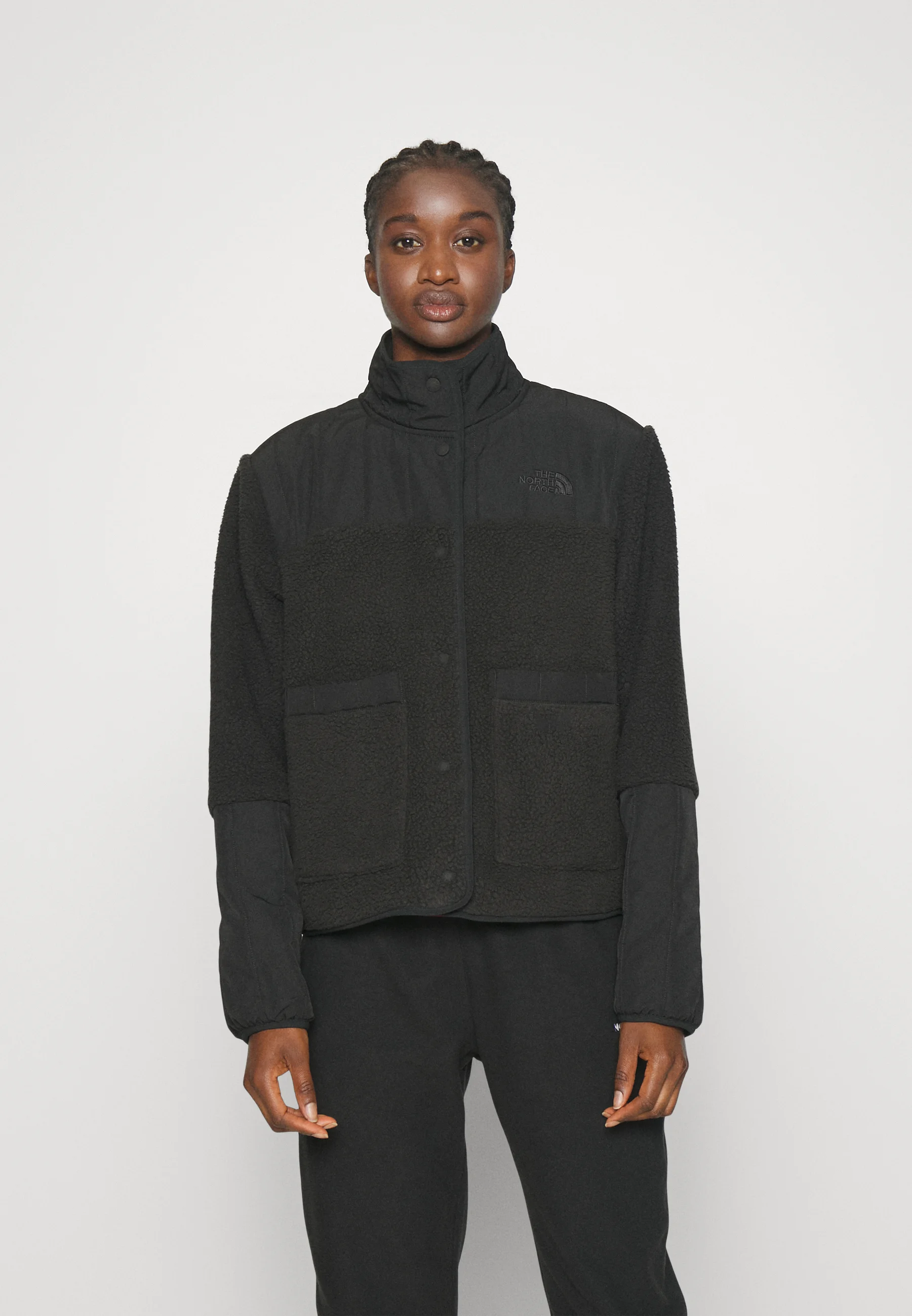 The North Face CRAGMONT JACKET - Chaqueta polar