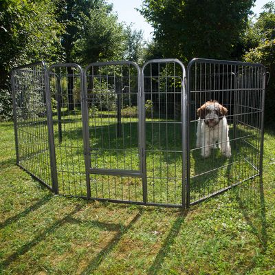 Welpenfreilaufgehege aus Metall