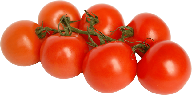 Bio Strauchtomaten