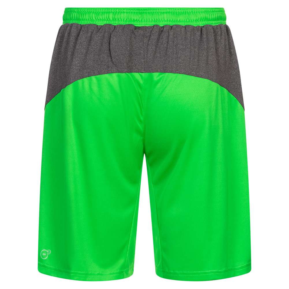 PUMA King Herren Torwart Shorts 701701-43