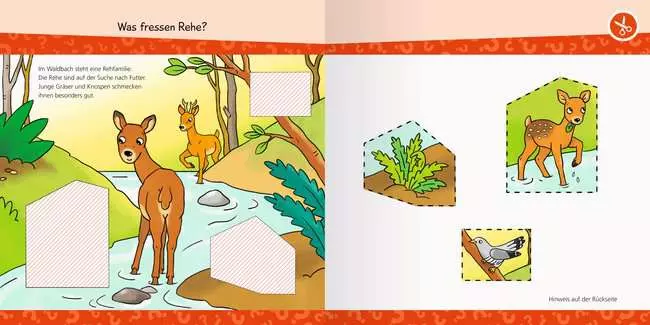 Ravensburger Wieso? Weshalb? Warum? junior AKTIV: Im Wald