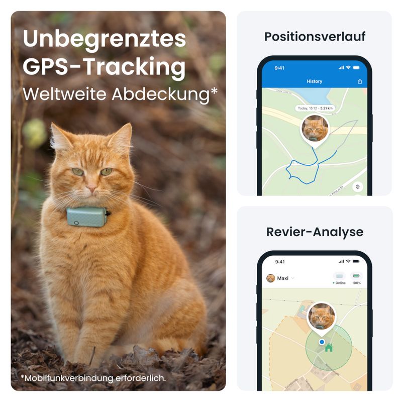 Tractive GPS Tracker für Katzen zu TOP-Preisen