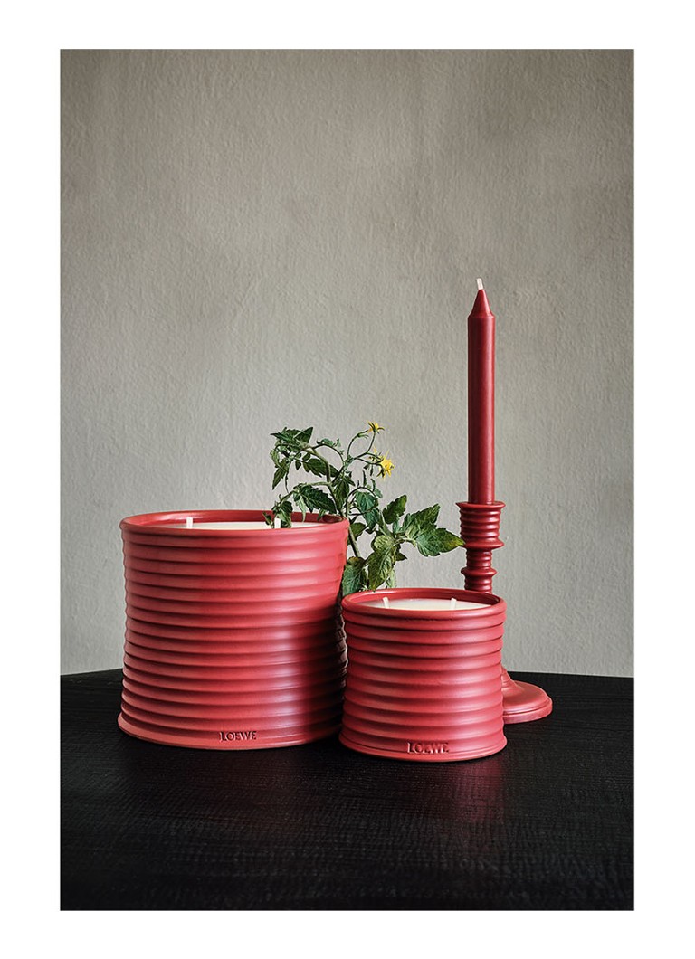 LOEWE Lielo tomātu lapu svece - aromātiskā svece 2120 grami
