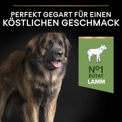 PURINA PRO PLAN Large Adult Robust Lamm & Reis Sensitive Digestion