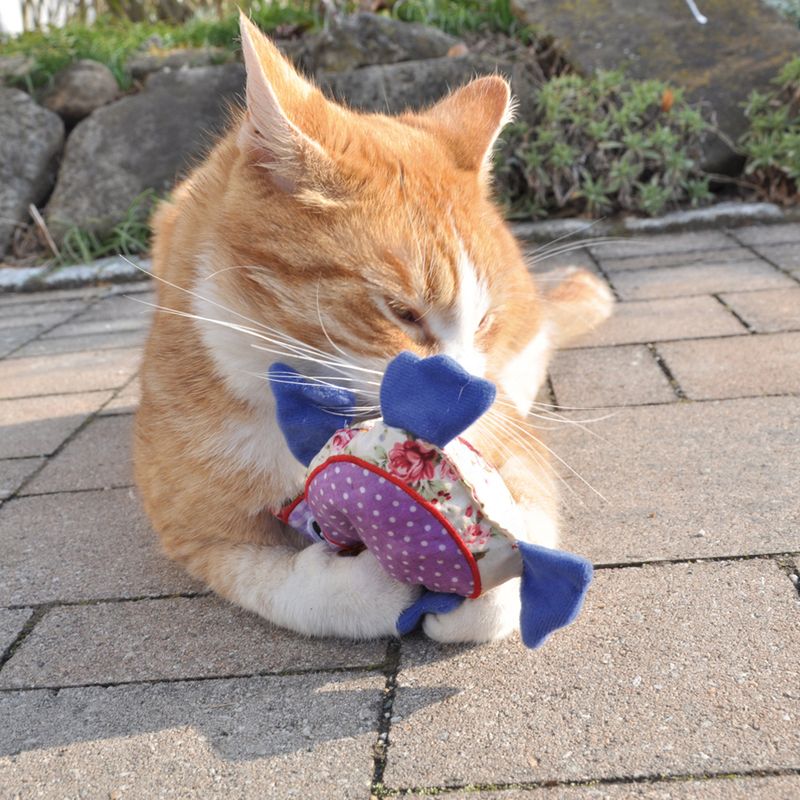 Aumüller Baldrian-Katzenspielkissen Patchwork-Eule zu TOP-Preisen