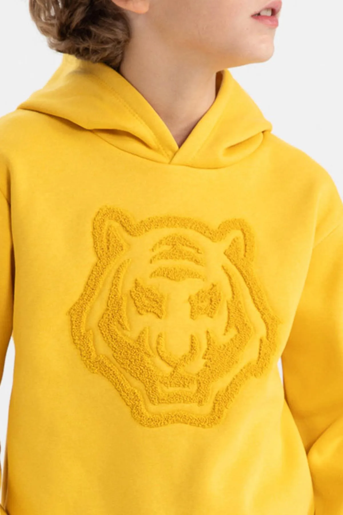 DeFacto  Dickes Kapuzen-Sweatshirt mit regulärer Passform für Jungen