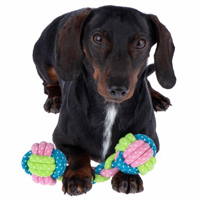 Hundespielzeug Limoen Knochen
