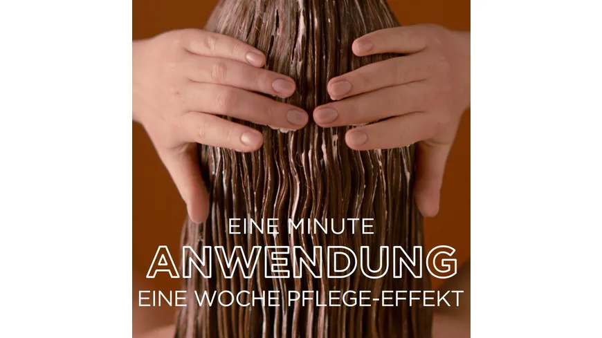Garnier Wahre Schätze Haarkur Hair Remedy Honey Treasure 340 ml
