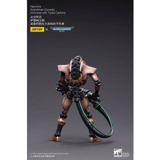 Warhammer 40k Actionfigur: Necrons - Szarekhan Dynasty Immortals with Tesla Carbine (2er-Pack)