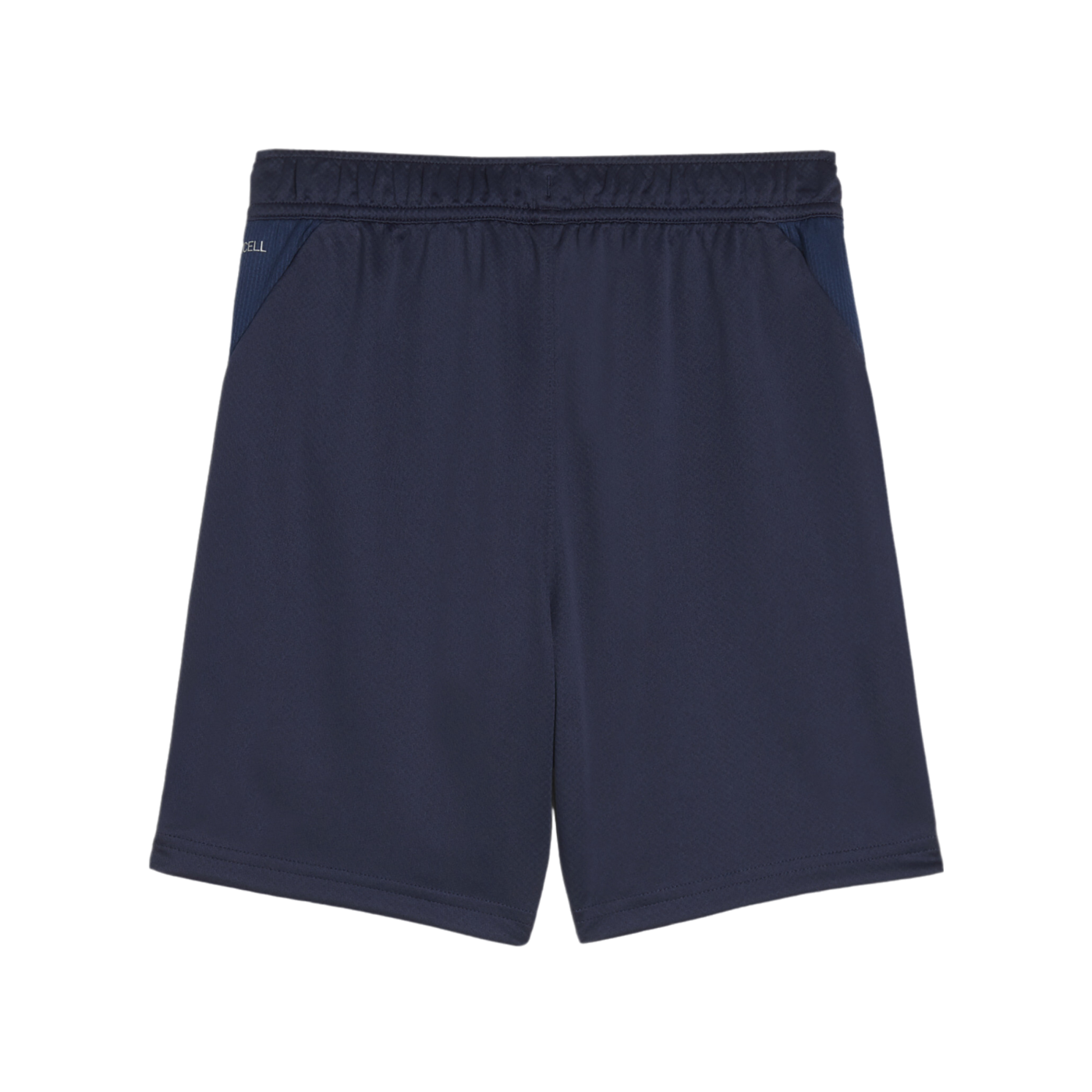 PUMA teamGOAL Training Shorts Kids Blau F06