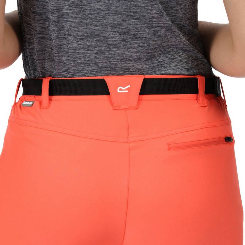 Regatta Xert Capri Wanderhose Damen