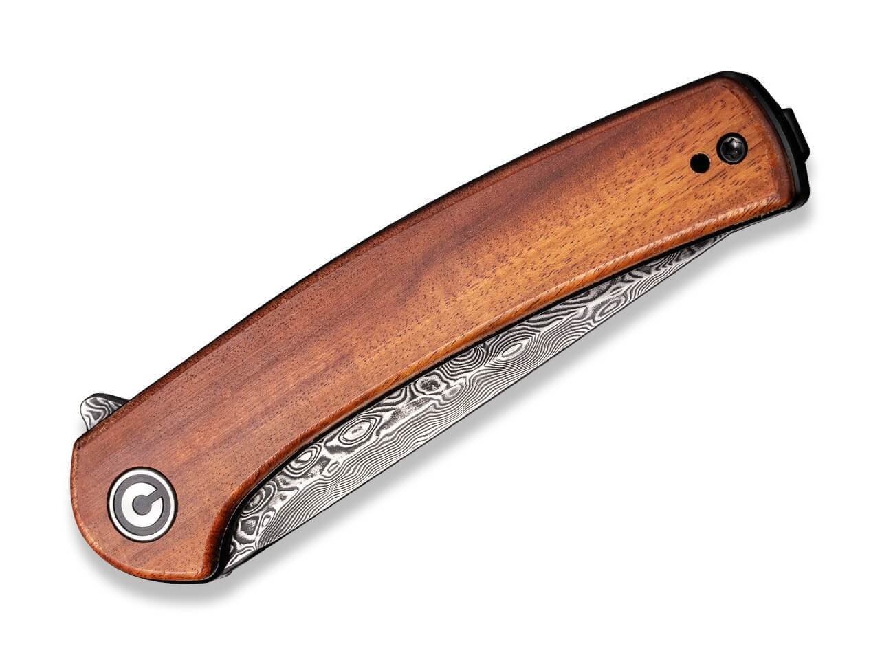 Mini Asticus Cuibourtia Damascus